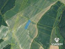 Prodej pole, Plasy, 7205 m2