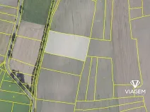 Prodej podílu pole, Jíkev, 3887 m2