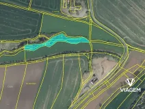 Prodej pole, Hřivice, 3572 m2