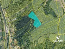 Prodej podílu pole, Kyjov, 1403 m2