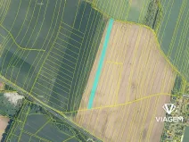 Prodej podílu pole, Hustopeče nad Bečvou, 1728 m2