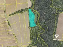 Prodej podílu pole, Slabce, 669 m2