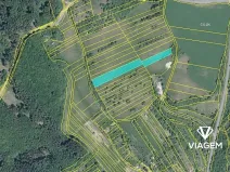 Prodej podílu pole, Pašovice, 1177 m2