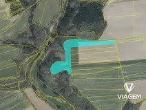 Prodej podílu pole, Šípy, 1150 m2