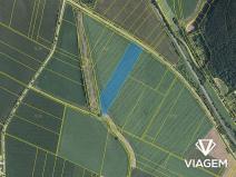 Prodej pole, Moravské Knínice, 18234 m2