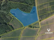 Prodej podílu pole, Úbislavice, 7139 m2