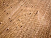 Prodej podílu pole, Mníšek pod Brdy, 5701 m2