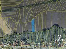 Prodej podílu pole, Kněždub, 1519 m2