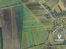 Prodej pole, Kněždub, 4600 m2