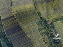 Prodej pole, Kněždub, 1086 m2