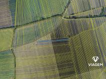 Prodej pole, Kněždub, 1350 m2