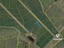 Prodej podílu pole, Mladá Vožice, 697 m2