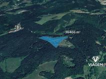 Prodej lesa, Všemina, 36466 m2