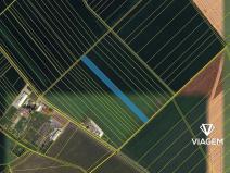 Prodej podílu pole, Hněvotín, 2772 m2