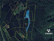 Prodej podílu lesa, Morávka, 16190 m2