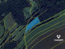 Prodej podílu pole, Staré Těchanovice, 4151 m2