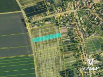 Prodej pozemku pro bydlení, Dub nad Moravou, 5184 m2