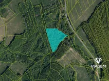 Prodej lesa, Doubravy, 22389 m2