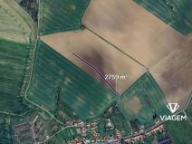 Prodej pole, Koryčany, 2759 m2