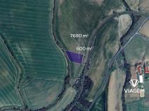 Prodej podílu pole, Zdounky, 1381 m2