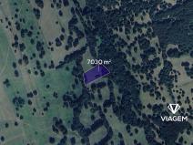 Prodej pole, Tvarožná Lhota, 7030 m2