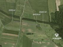 Prodej podílu pole, Javorník, 2652 m2