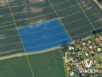 Prodej pole, Olešnice v Orlických horách, 7039 m2