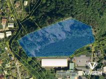 Prodej lesa, Rožnov pod Radhoštěm, 16307 m2