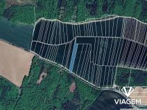 Prodej pole, Nová Ves, 5888 m2