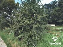 Prodej podílu pozemku pro bydlení, Bystřice, 174 m2