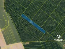 Prodej lesa, Hněvošice, 18551 m2