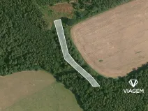 Prodej lesa, Třemošná, 1543 m2
