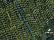 Prodej lesa, Kněždub, 997 m2