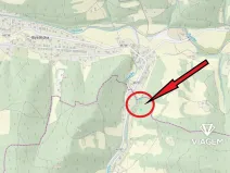 Prodej lesa, Růžďka, 518 m2