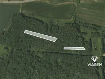 Prodej lesa, Kravaře, 7842 m2