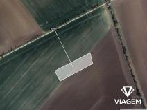 Prodej podílu pole, Třibřichy, 381 m2