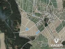 Prodej podílu pole, Tučapy, 3119 m2