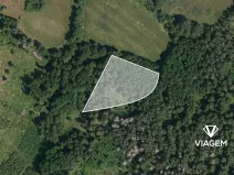 Prodej podílu lesa, Bukovník, 1306 m2