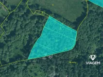 Prodej podílu lesa, Bukovník, 1306 m2