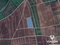 Prodej podílu pole, Veleň, 677 m2