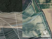 Prodej podílu pole, Sobůlky, 509 m2