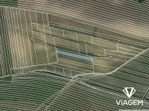 Prodej pole, Brumovice, 1081 m2