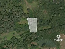 Prodej lesa, Pačejov, 539 m2