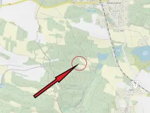 Prodej lesa, Pačejov, 539 m2