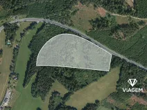 Prodej lesa, Loužnice, 41323 m2