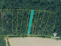 Prodej lesa, Bílov, 2331 m2