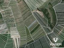 Prodej podílu pole, Uherčice, 725 m2