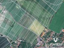 Prodej podílu pole, Kuchařovice, 420 m2