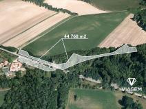 Prodej podílu lesa, Tulešice, 3694 m2