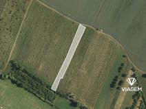 Prodej podílu sadu/vinice, Brumovice, 1723 m2